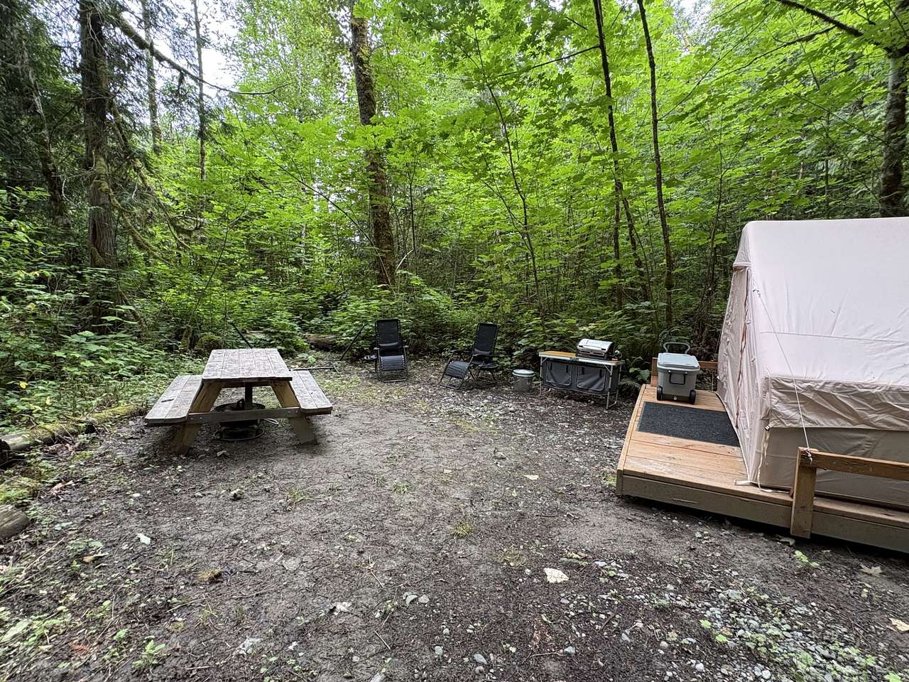 Picture of the site