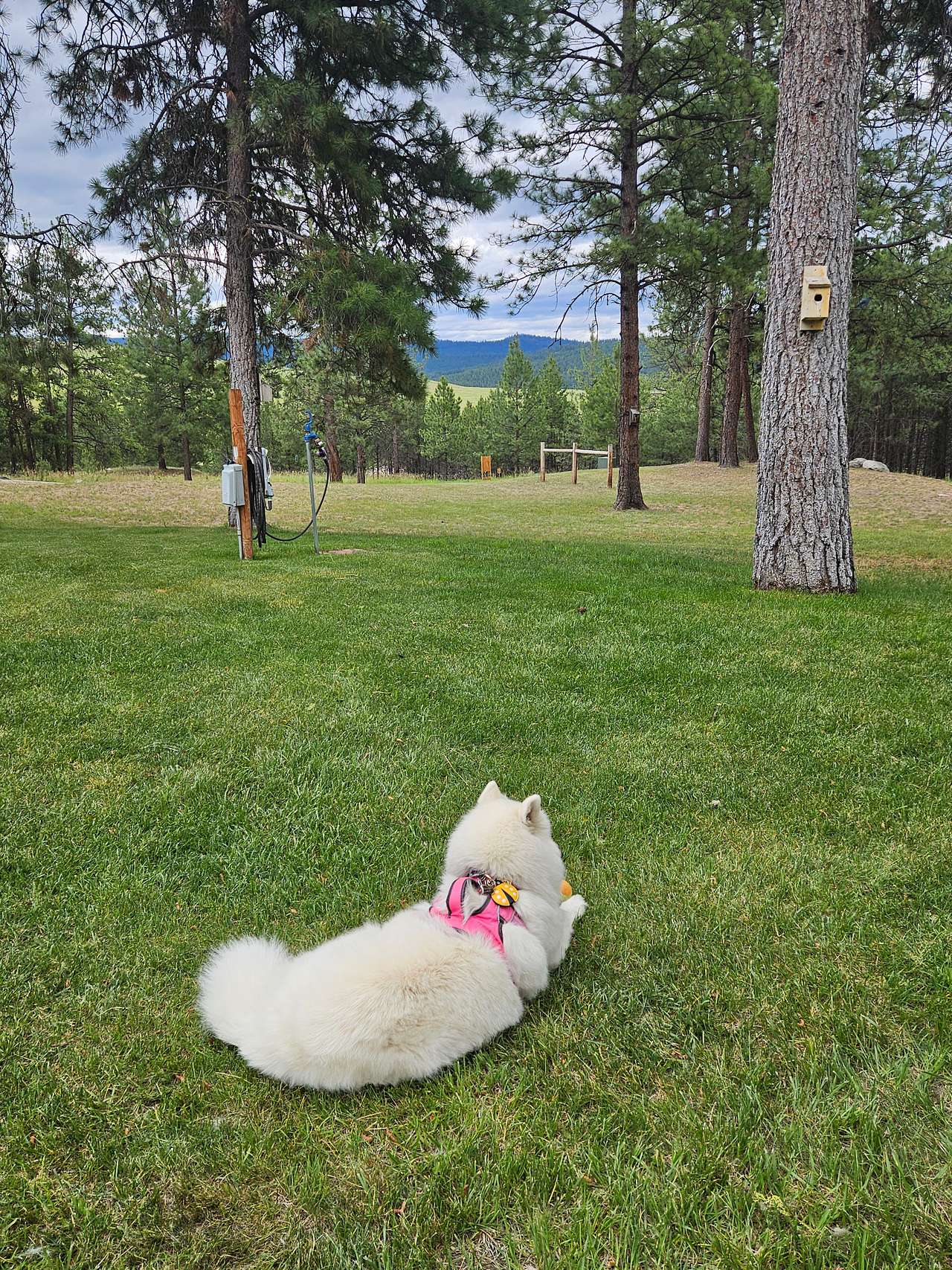LAZY C Mini RV Park/Campground