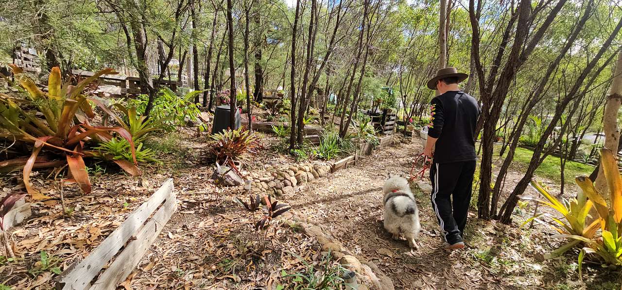 Mystic Adventures Greenbank