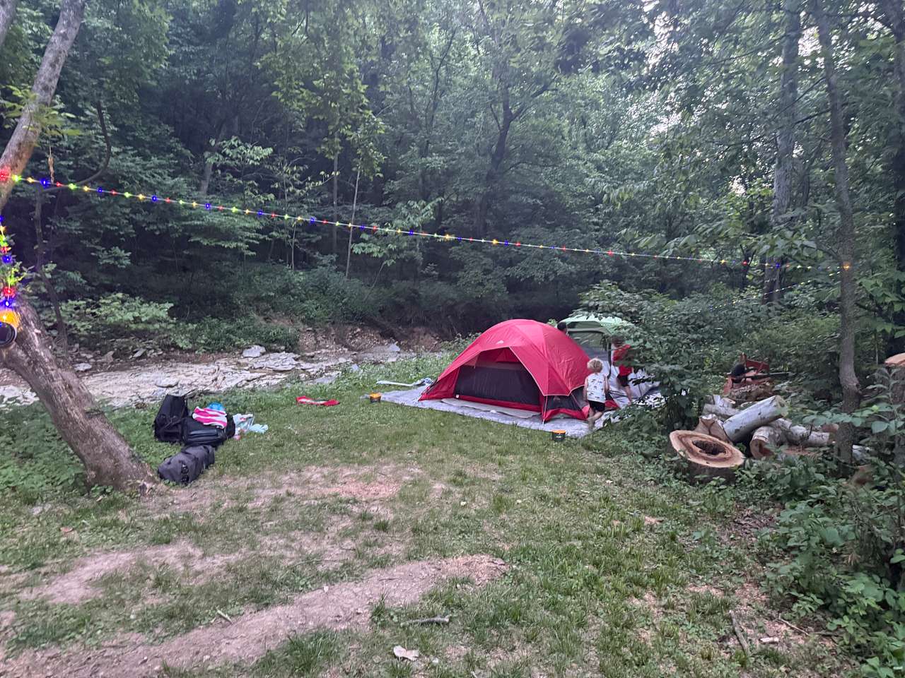 Picture of the site