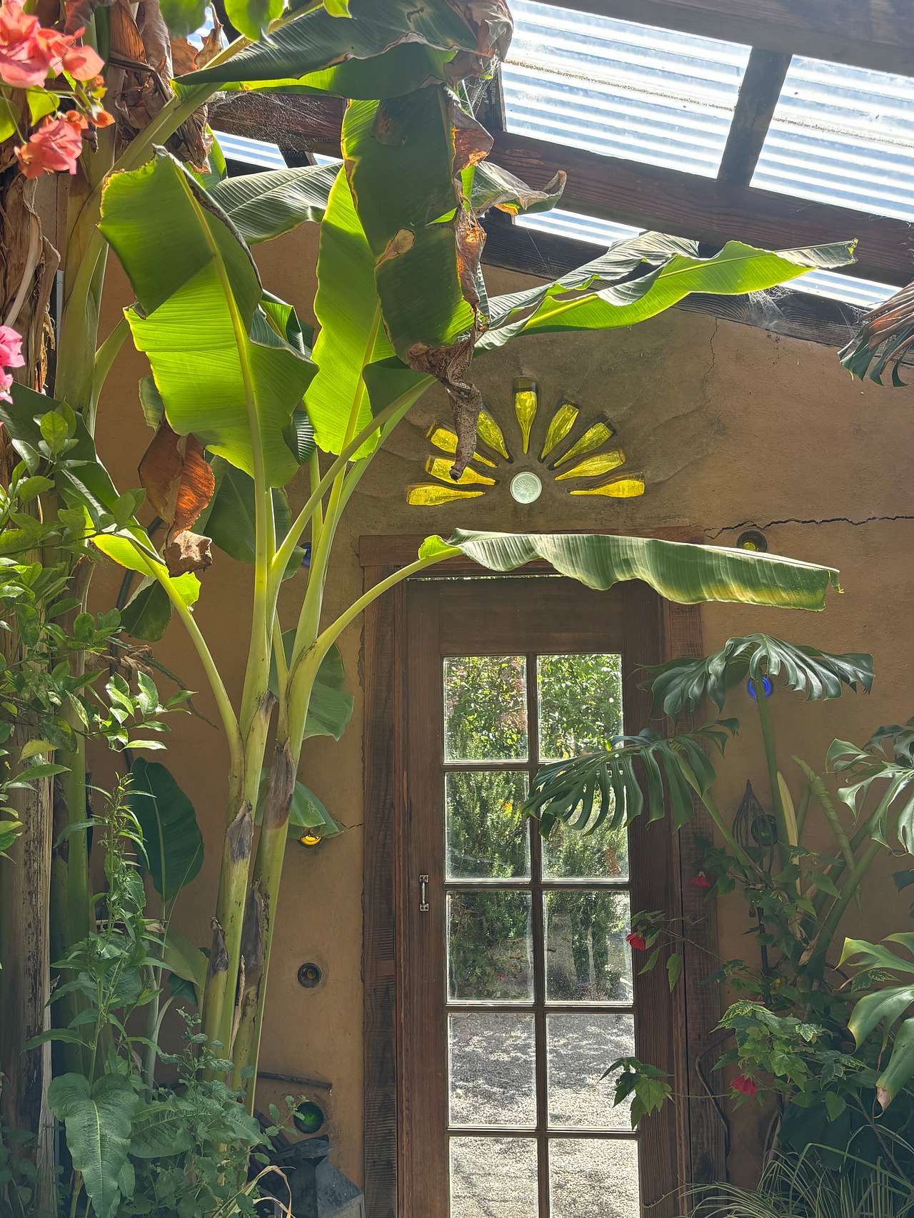 Their greenhouse 