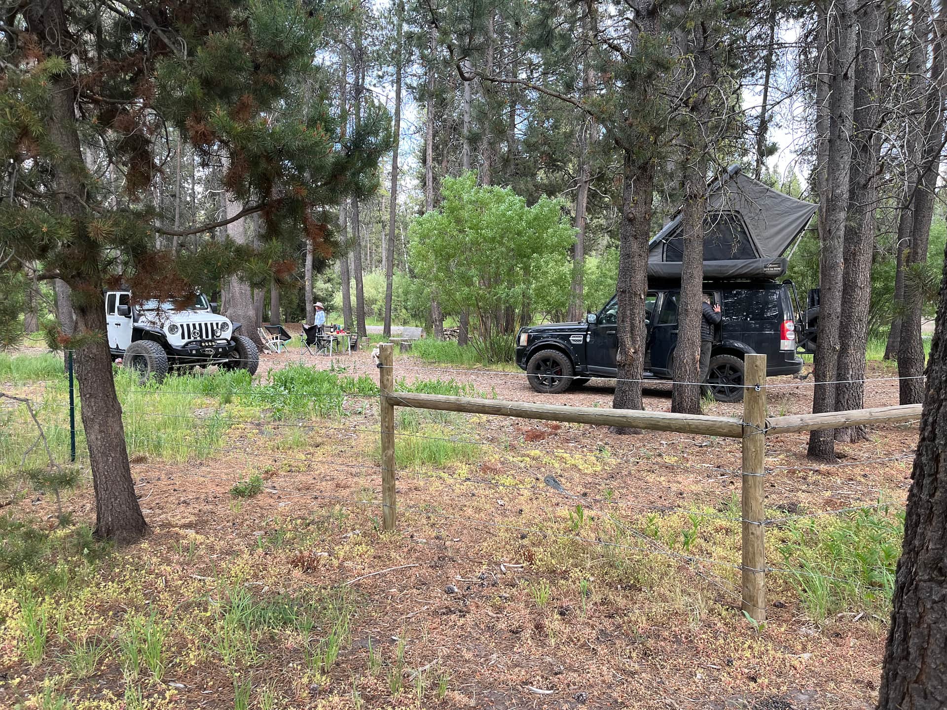 Moonrise Meadow Willow Camp
