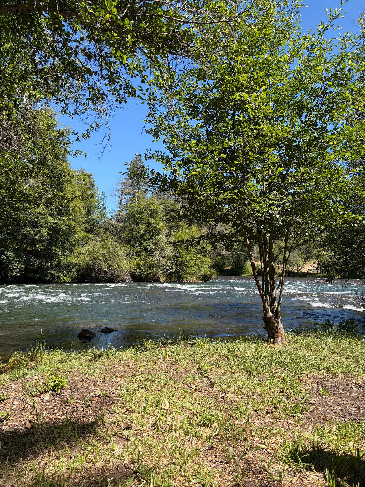 Riverside 