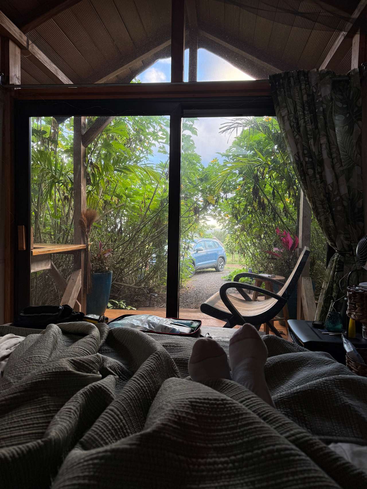 Cozy morning view. 