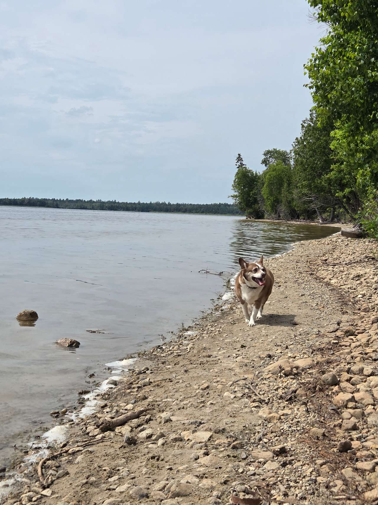 Lots of shore line to explore 
