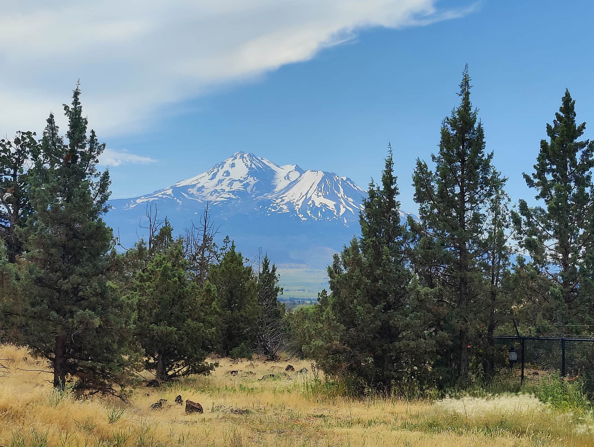 Mount Shasta View Camping