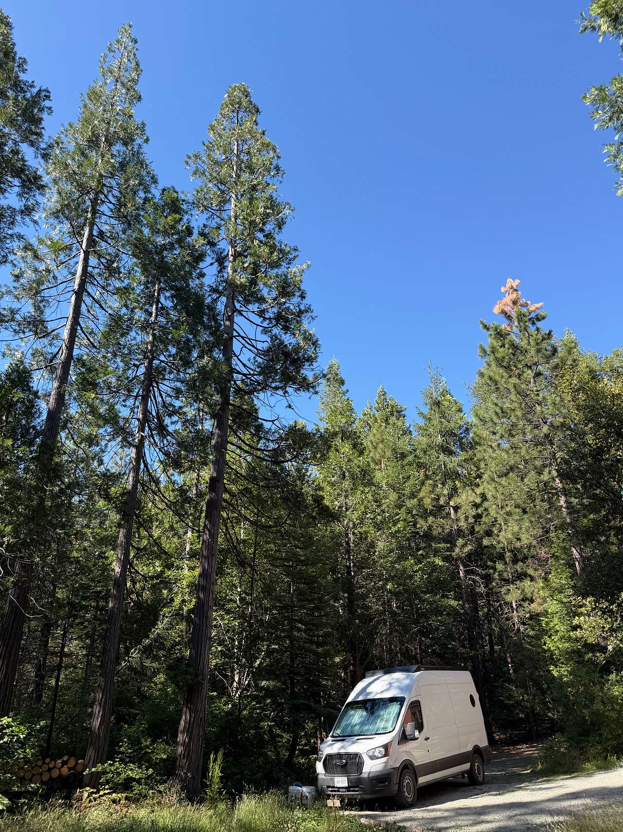 Bright Bear Camp in Tahoe NF