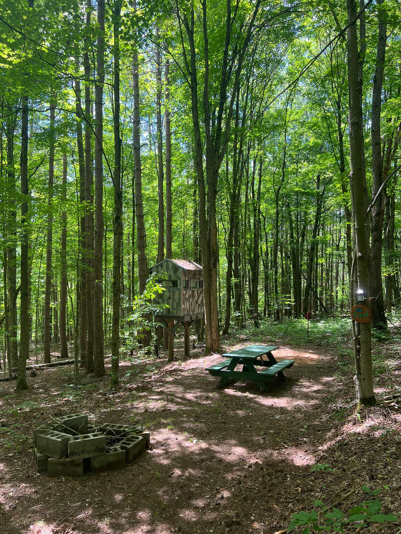 Picture of the site