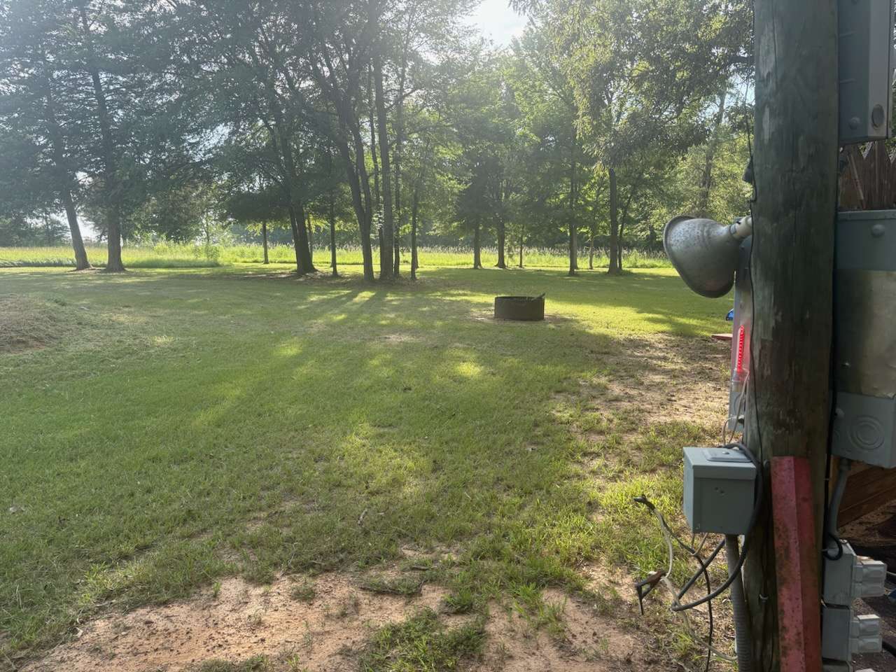 Picture of the site