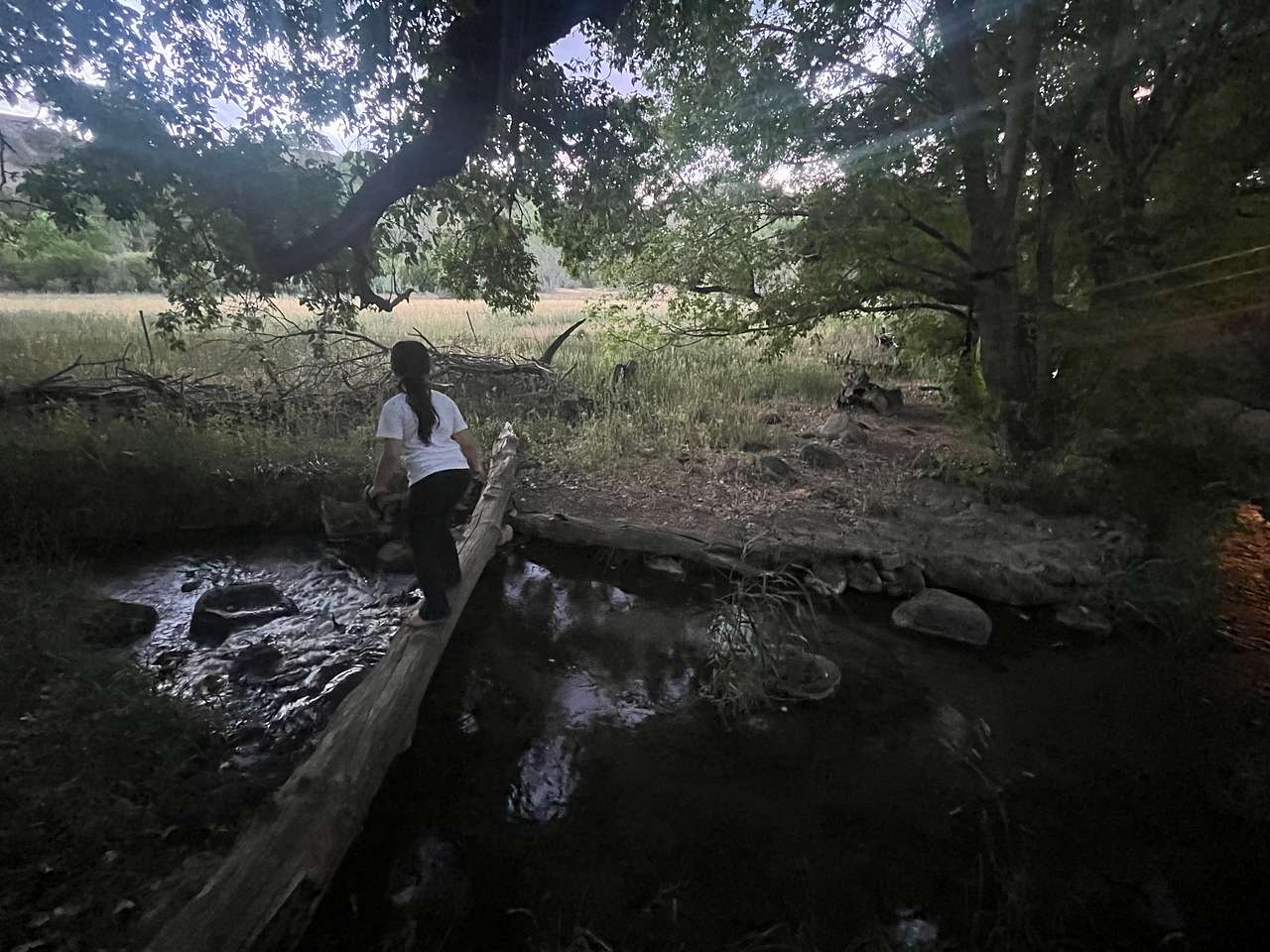 Freshwater creek near kitchen area
