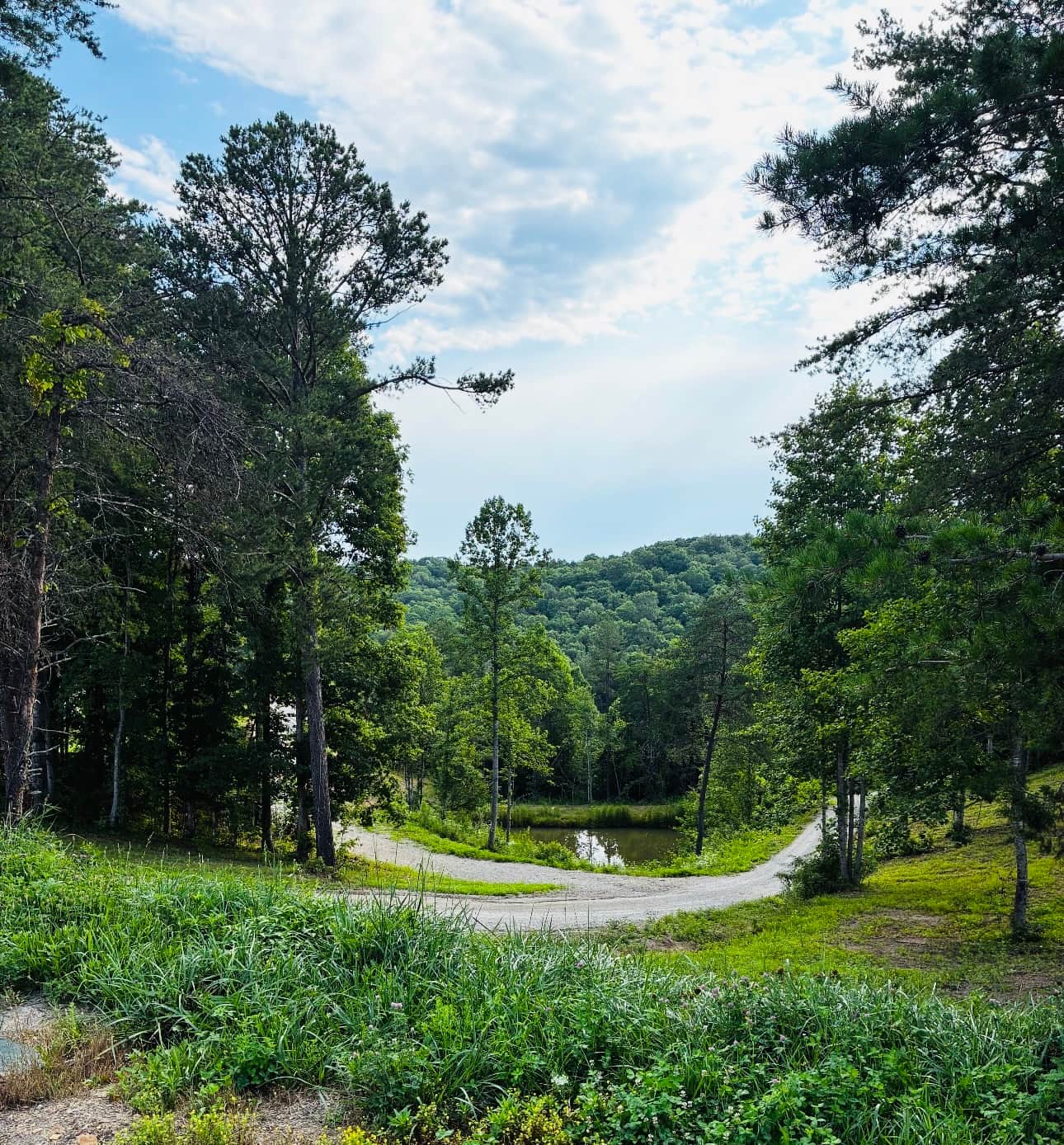 Rustling Pines Horse Camp