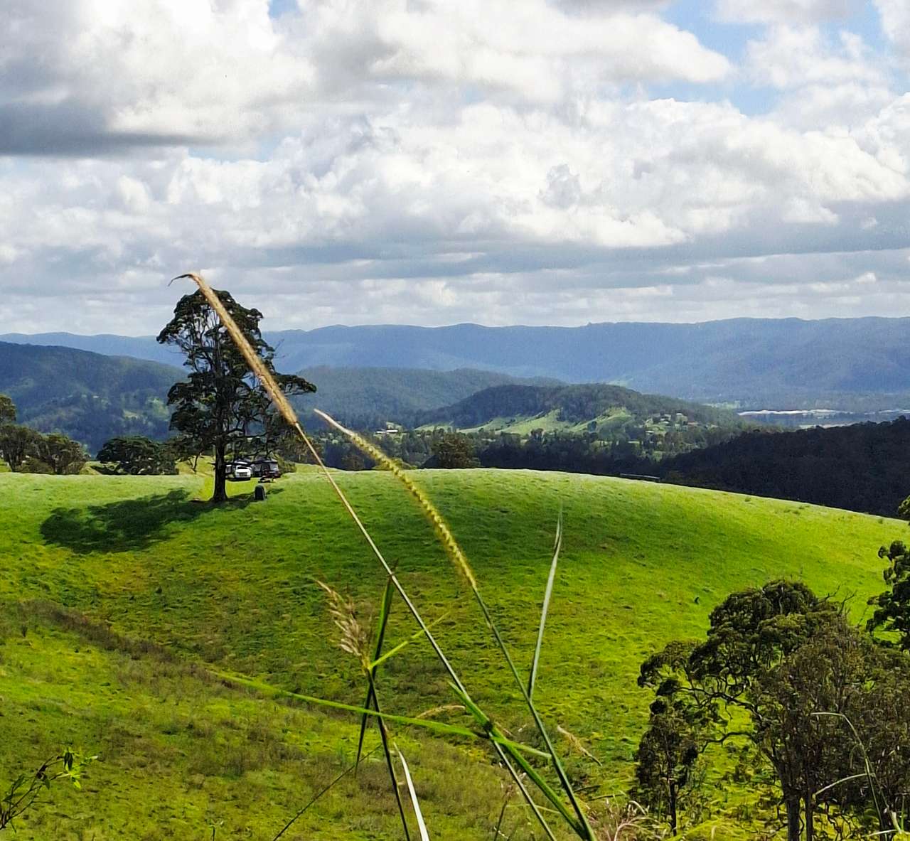 Coorie Vale