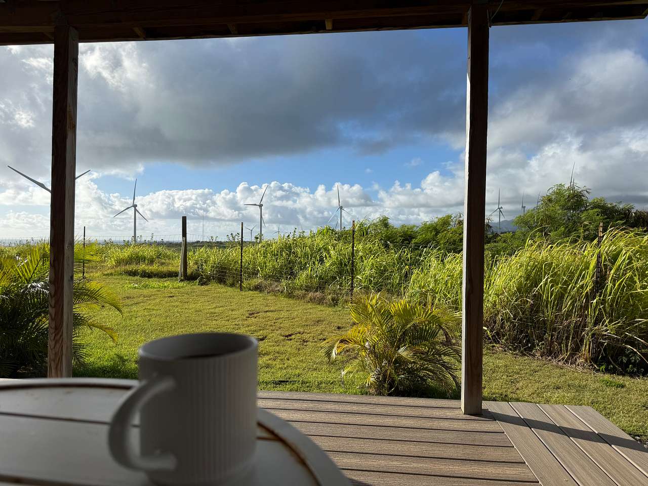 Coffee on the deck