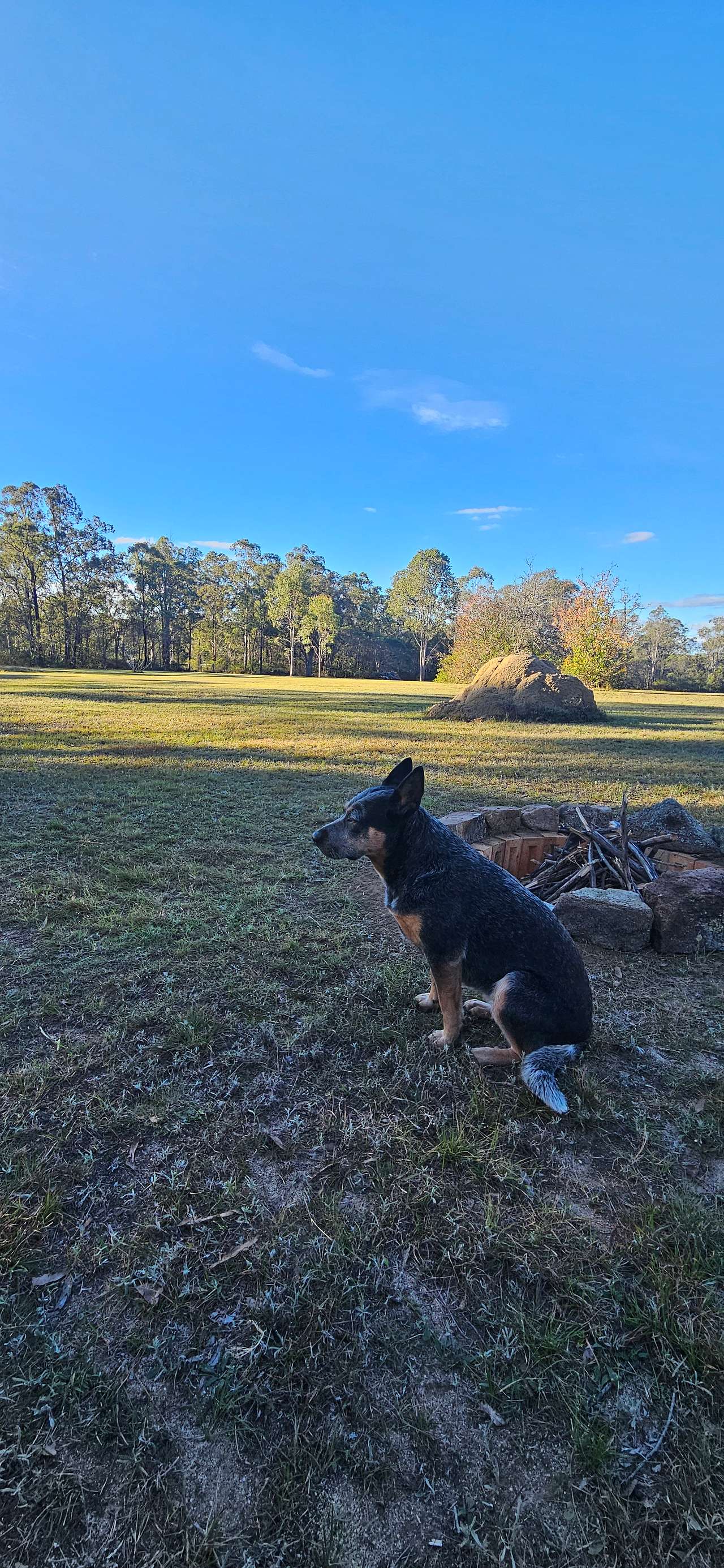 Crows Nest Paddock Camp