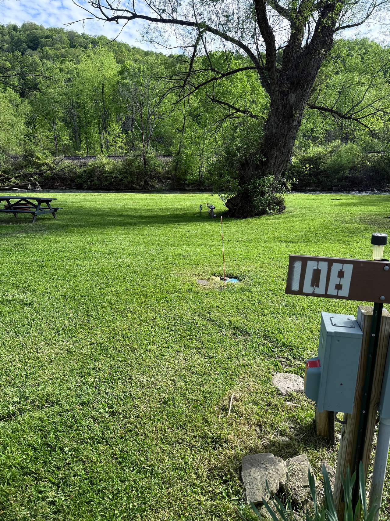 Picture of the site