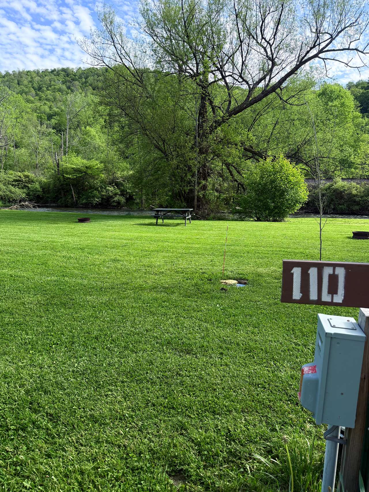 Picture of the site