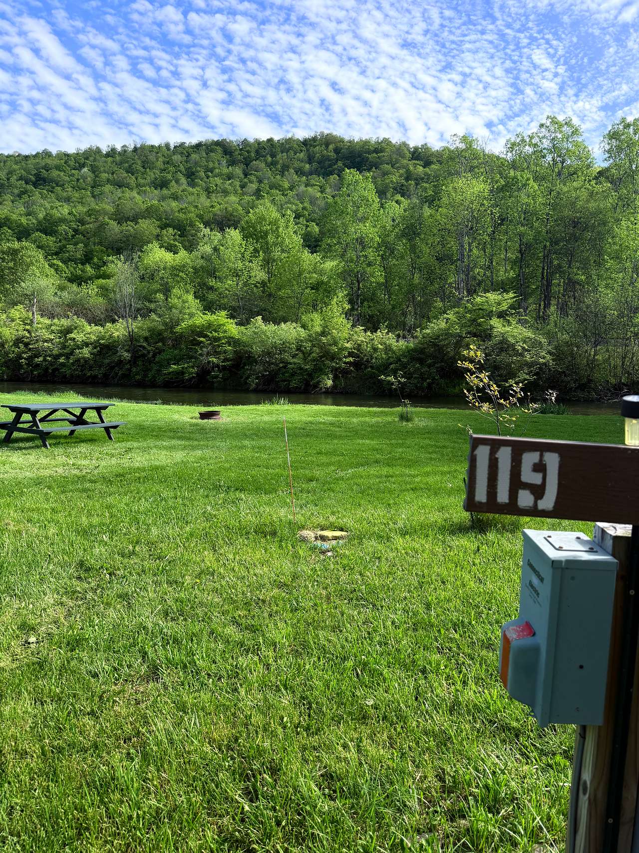 Picture of the site