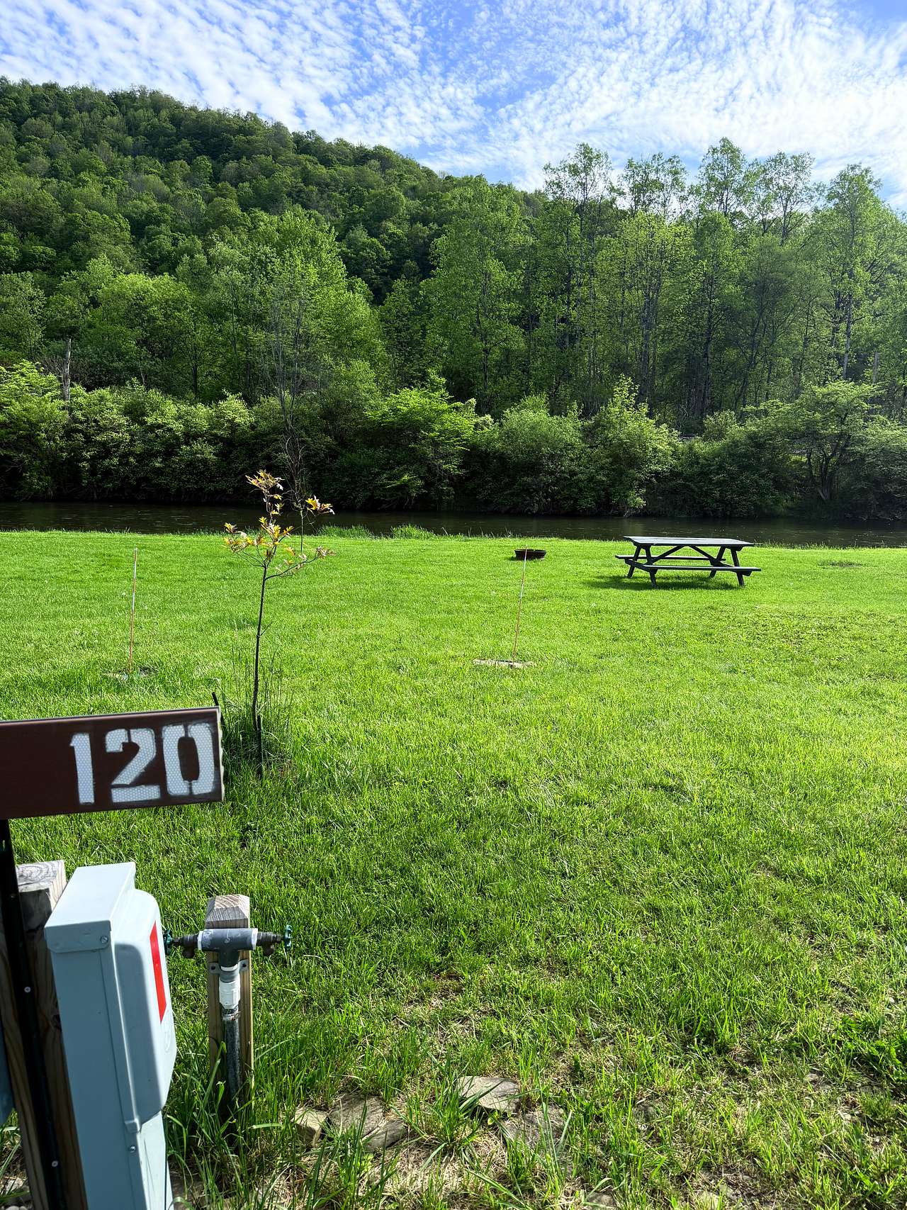 Picture of the site