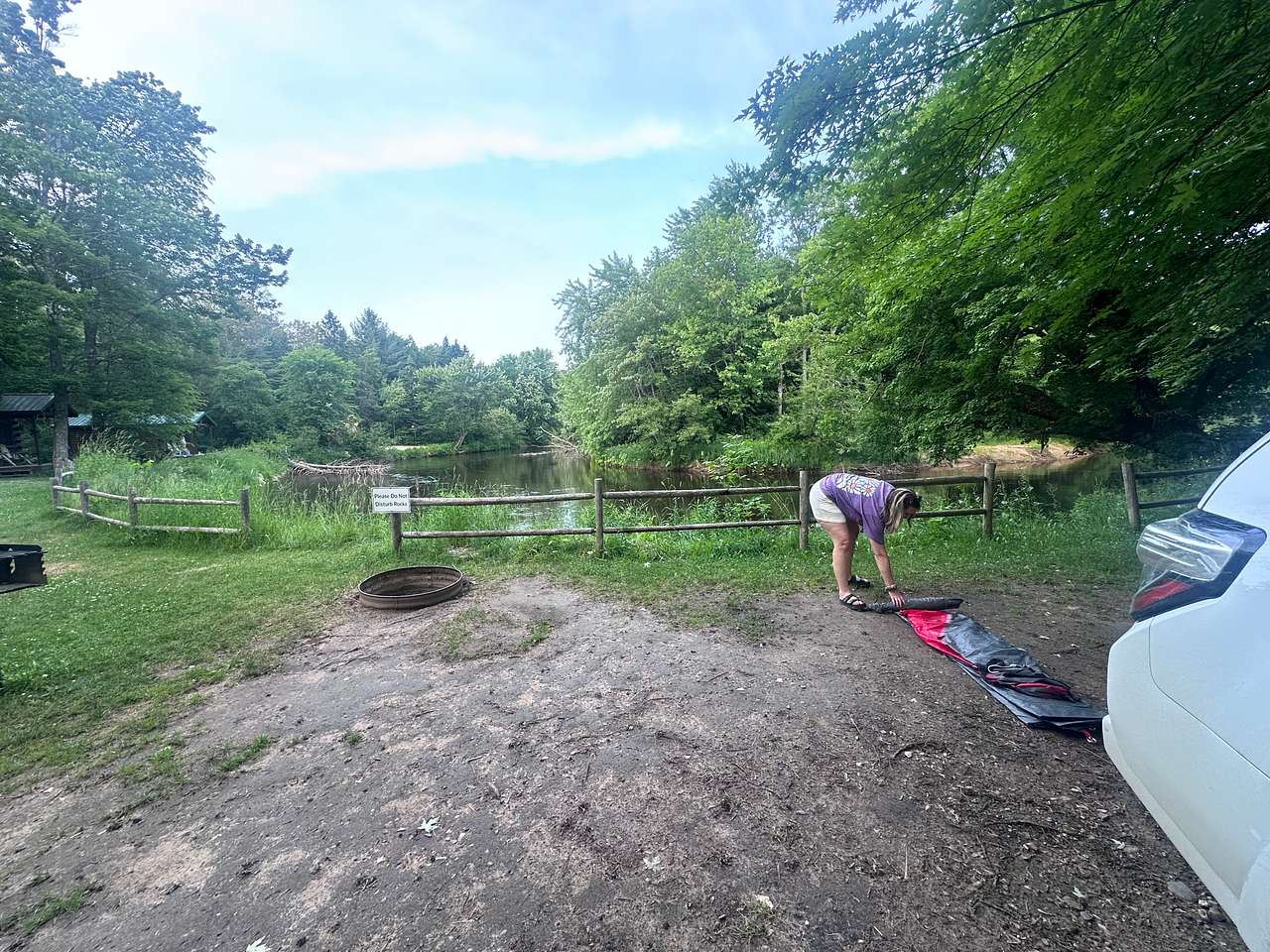 Picture of the site