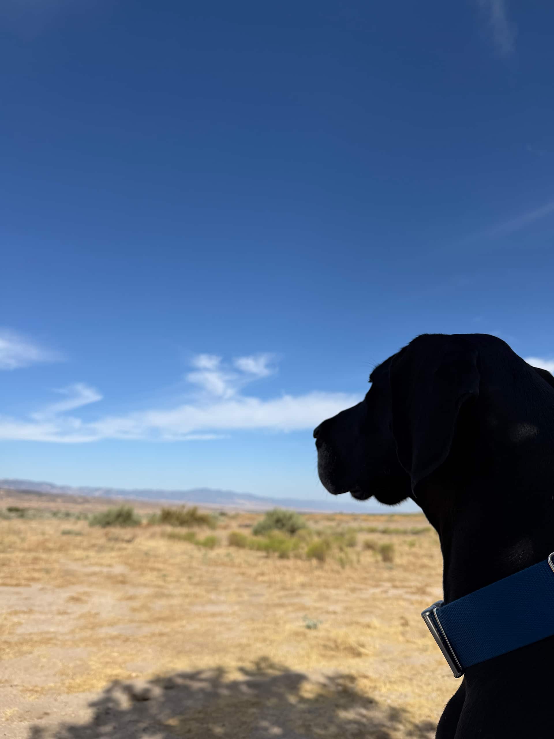 Cuyama Badlands