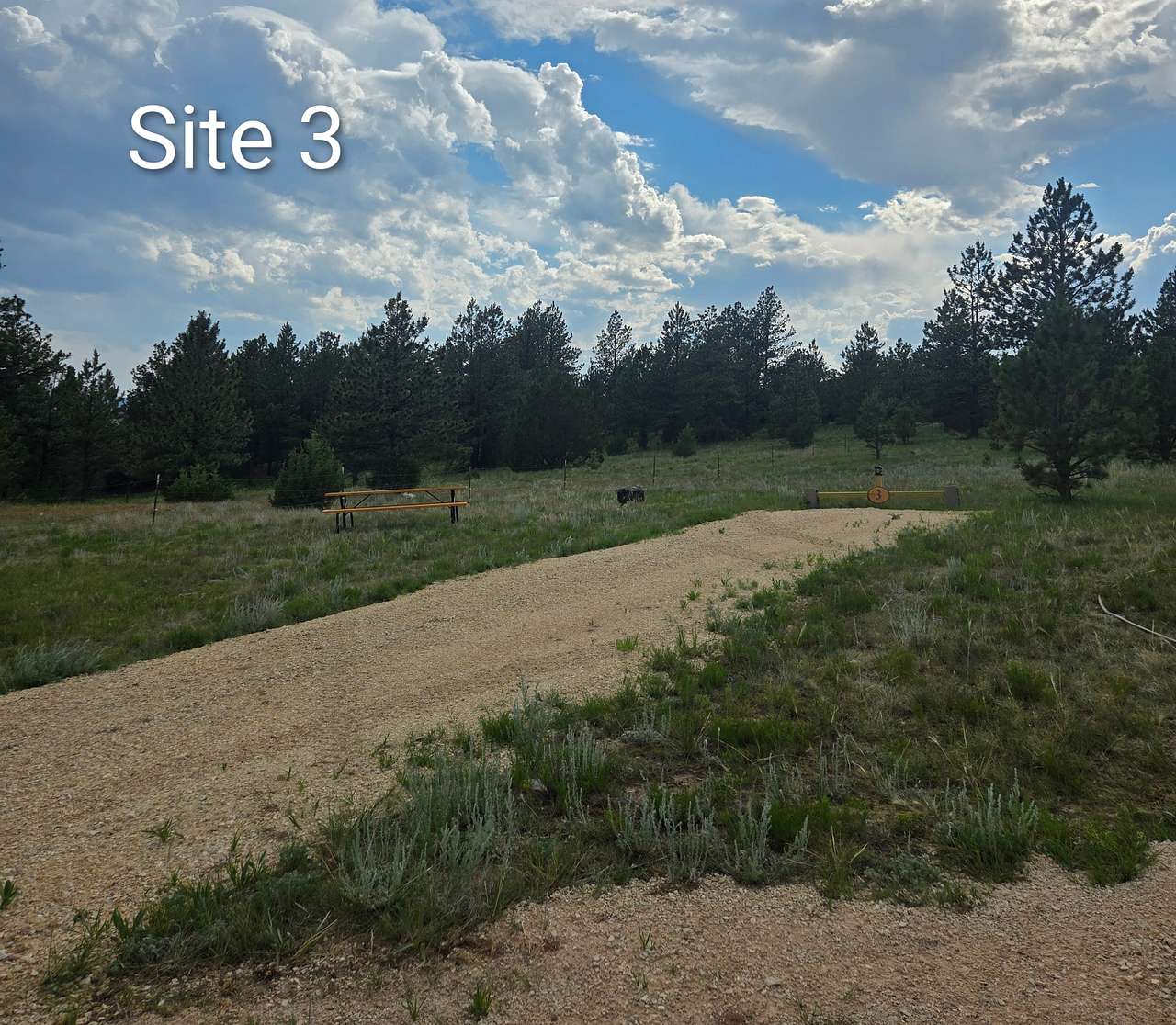 Picture of the site