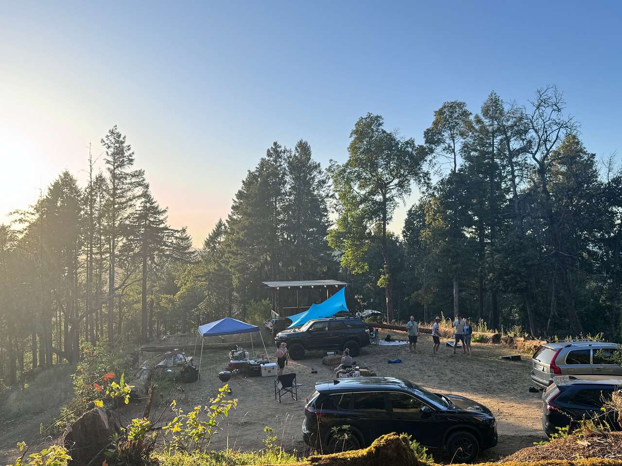 Picture of the site