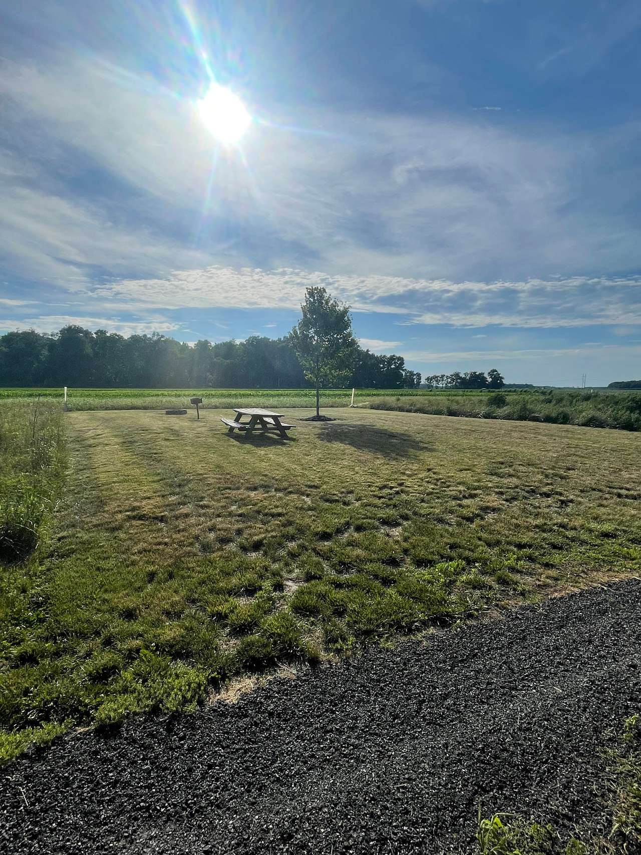 Picture of the site