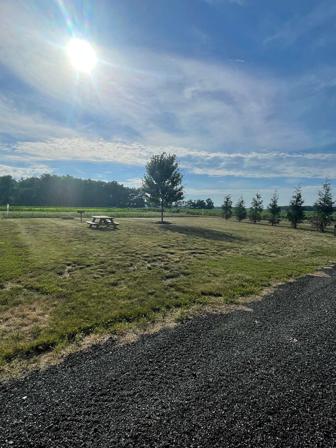 Picture of the site