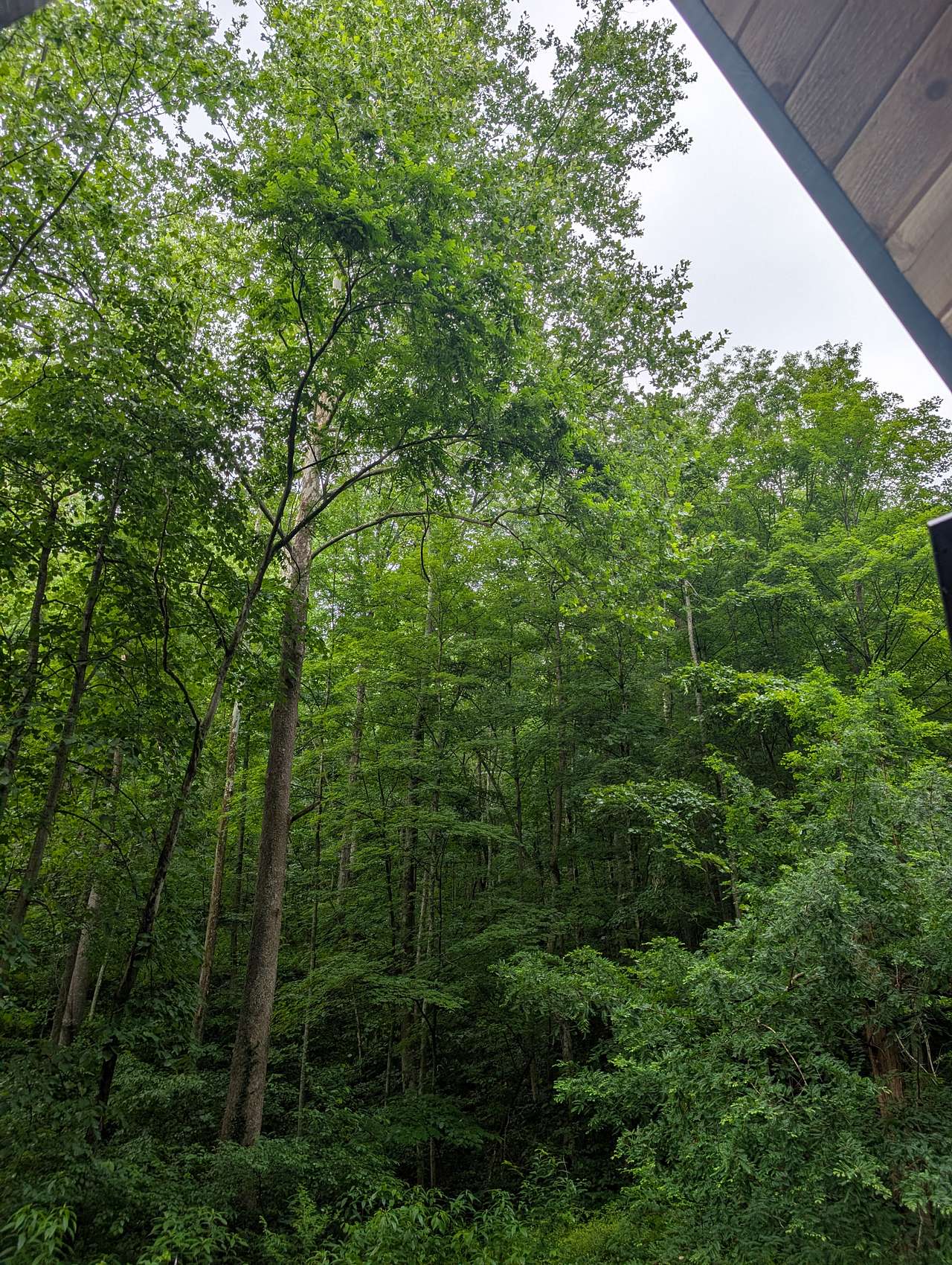 Appalachian Retreat Camp