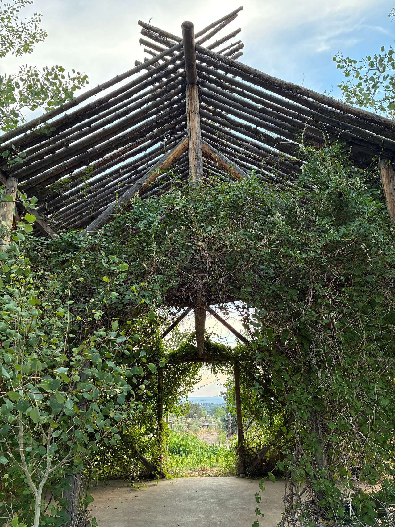 Taos Goji Farm & Eco Lodge
