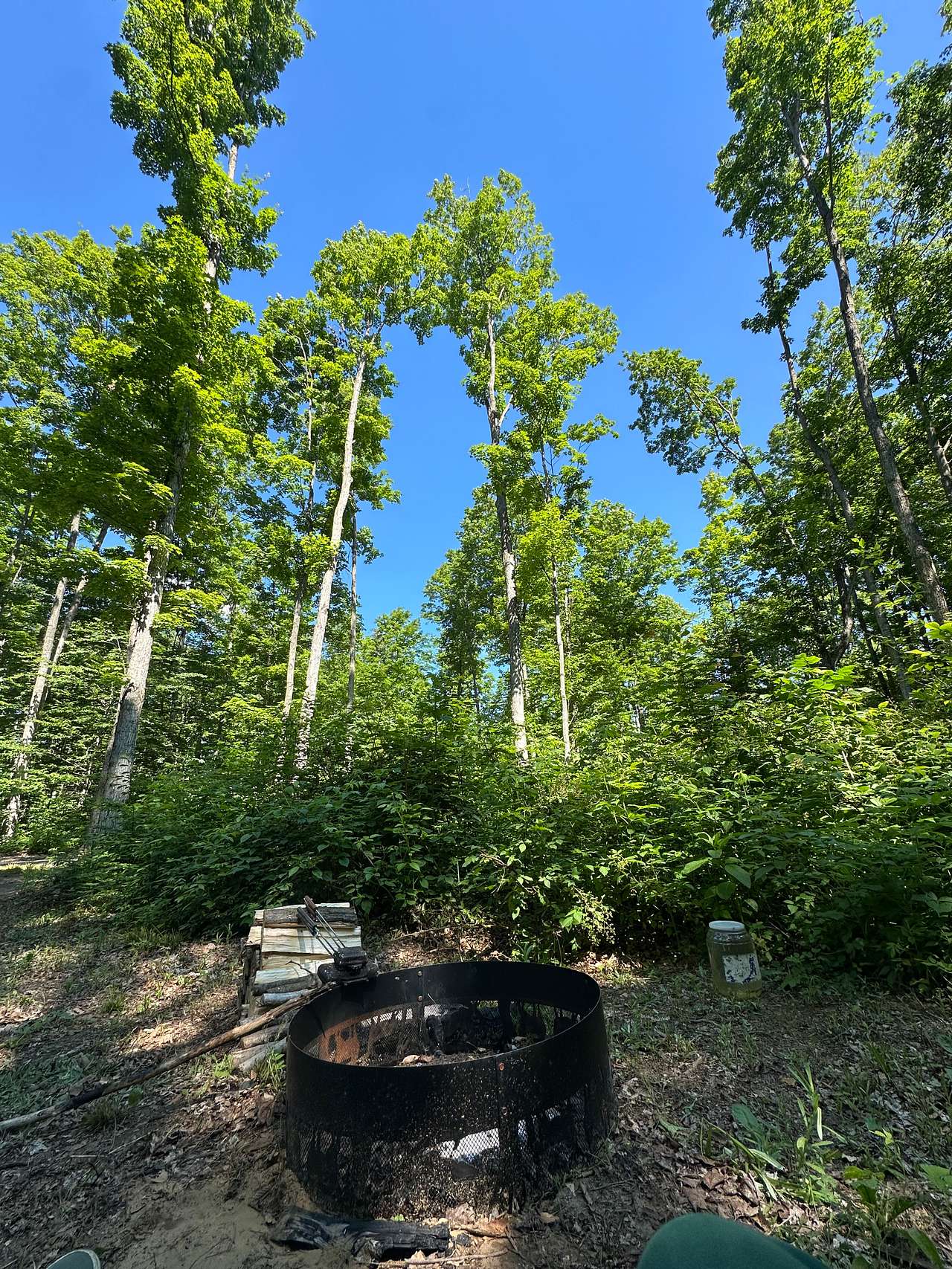 Picture of the site