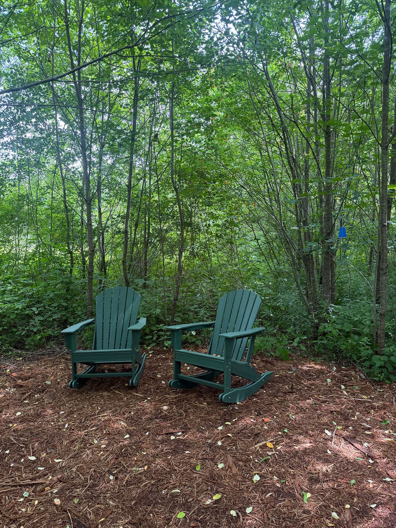 It was fun exploring all the secret places to sit and watch nature.