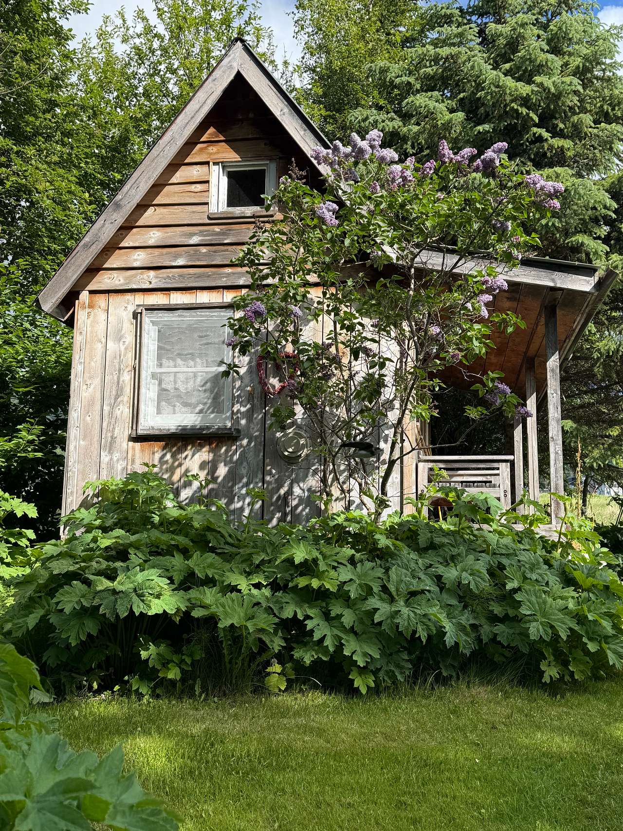 Seaside Farm