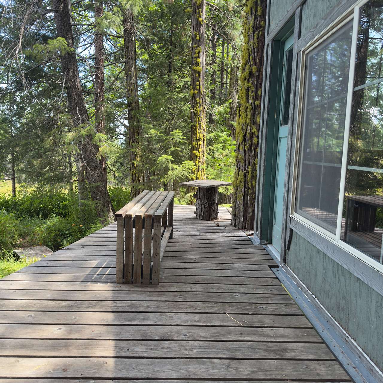 Tree House deck