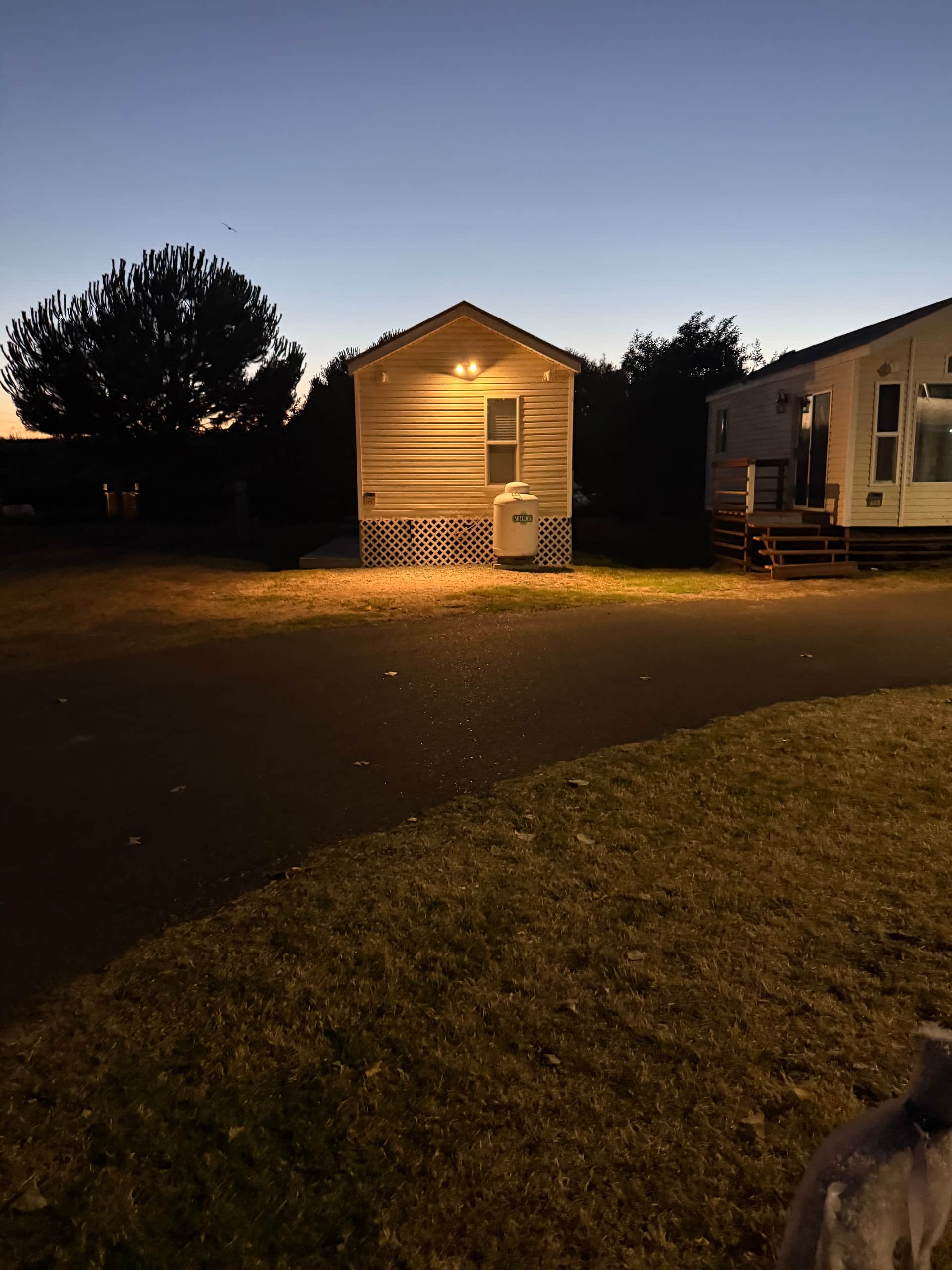 Picture of the site