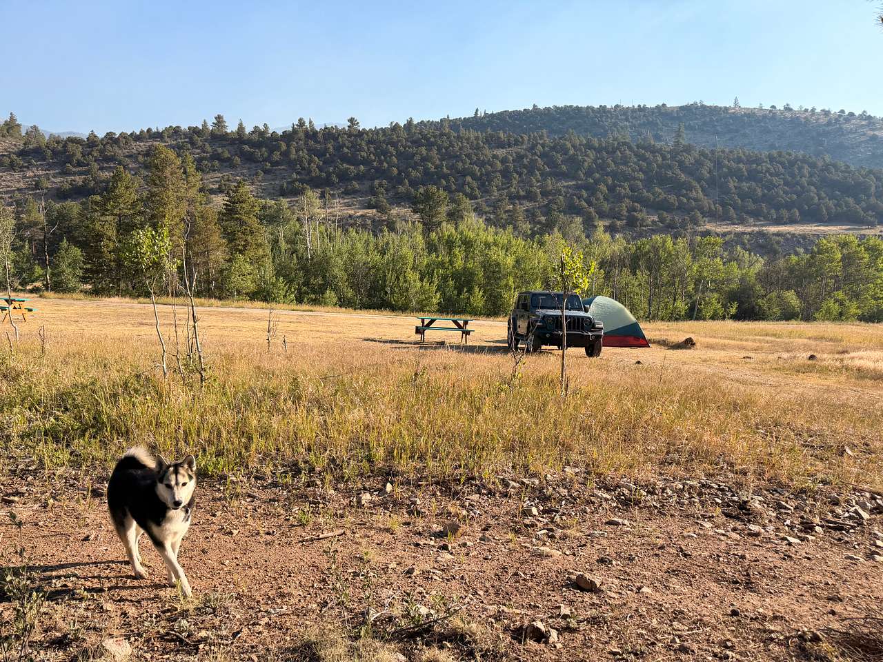 Picture of the site