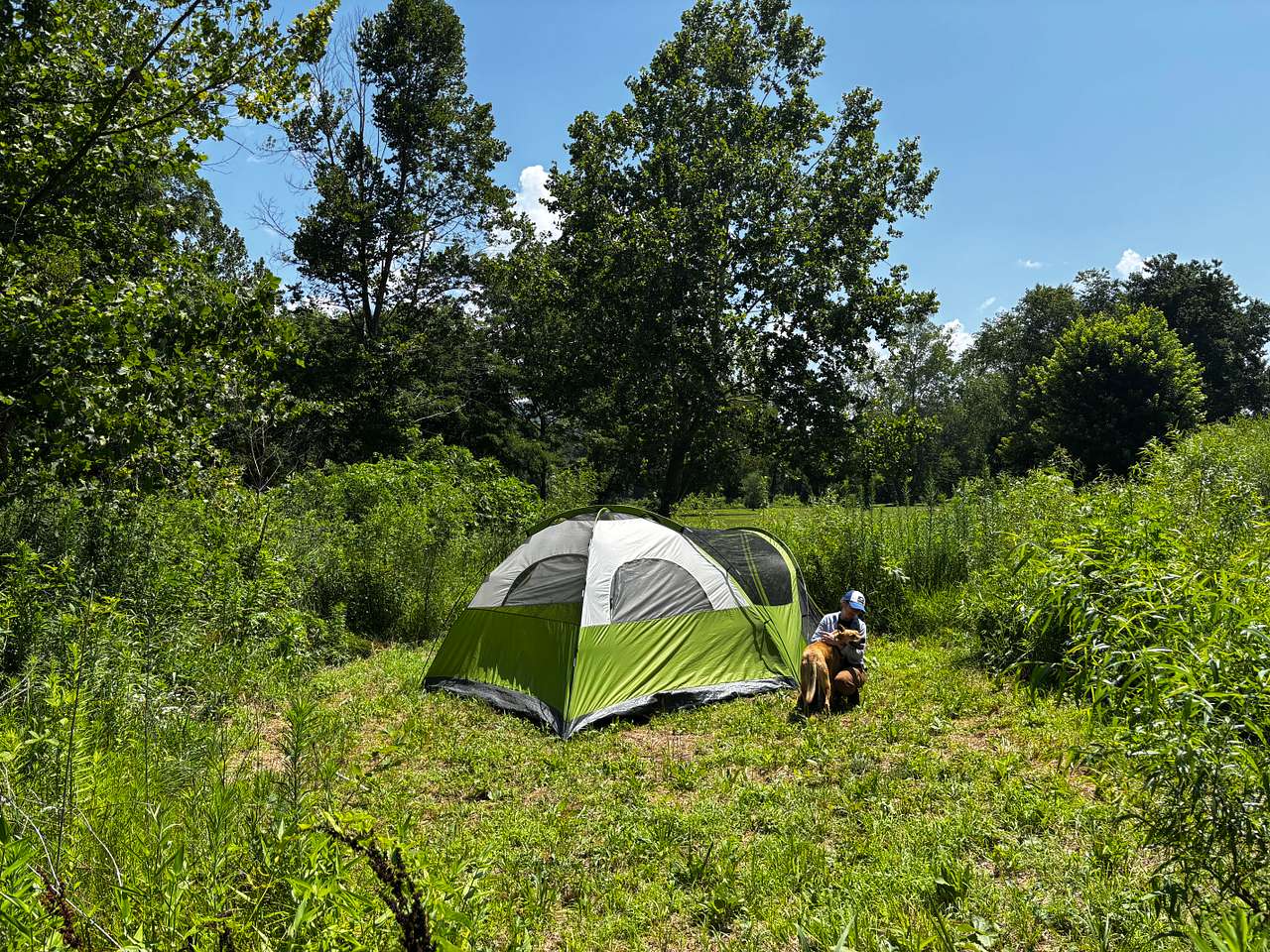 Picture of the site