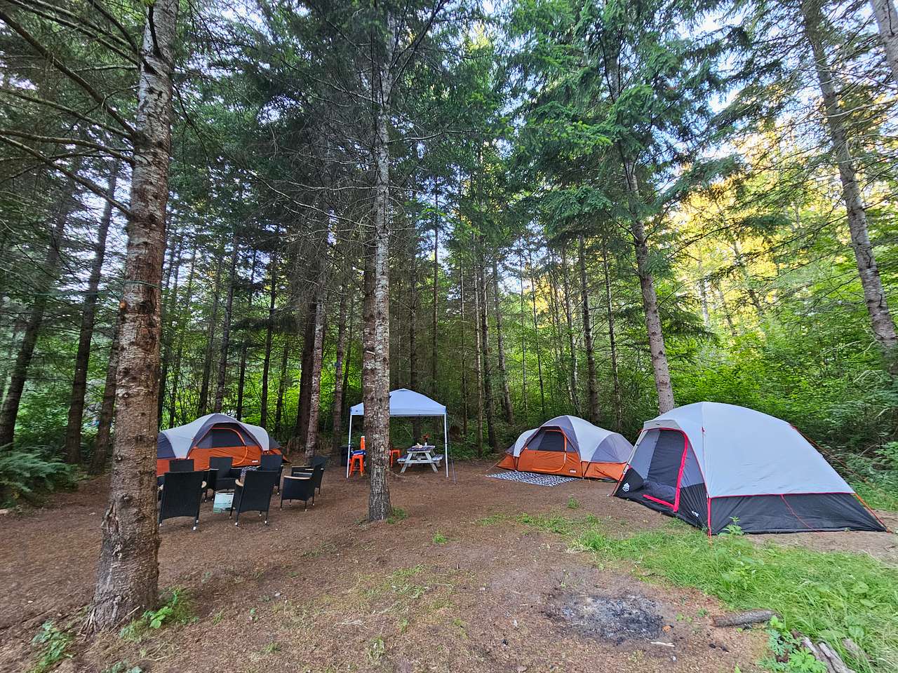 Picture of the site