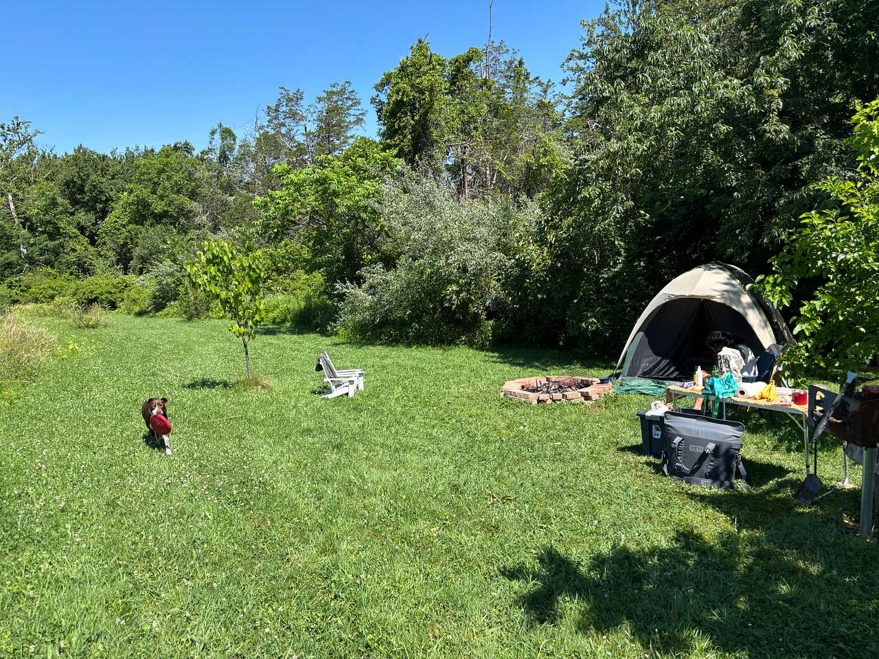 The most perfect private campsite