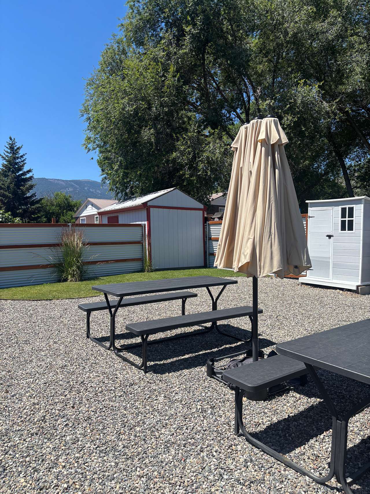 Sally’s Backyard