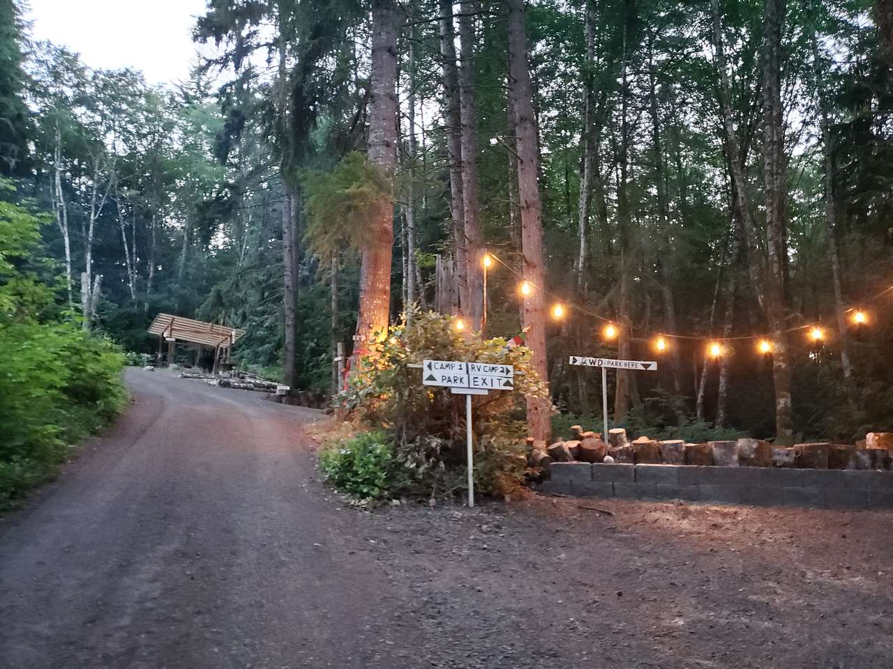 Picture of the site