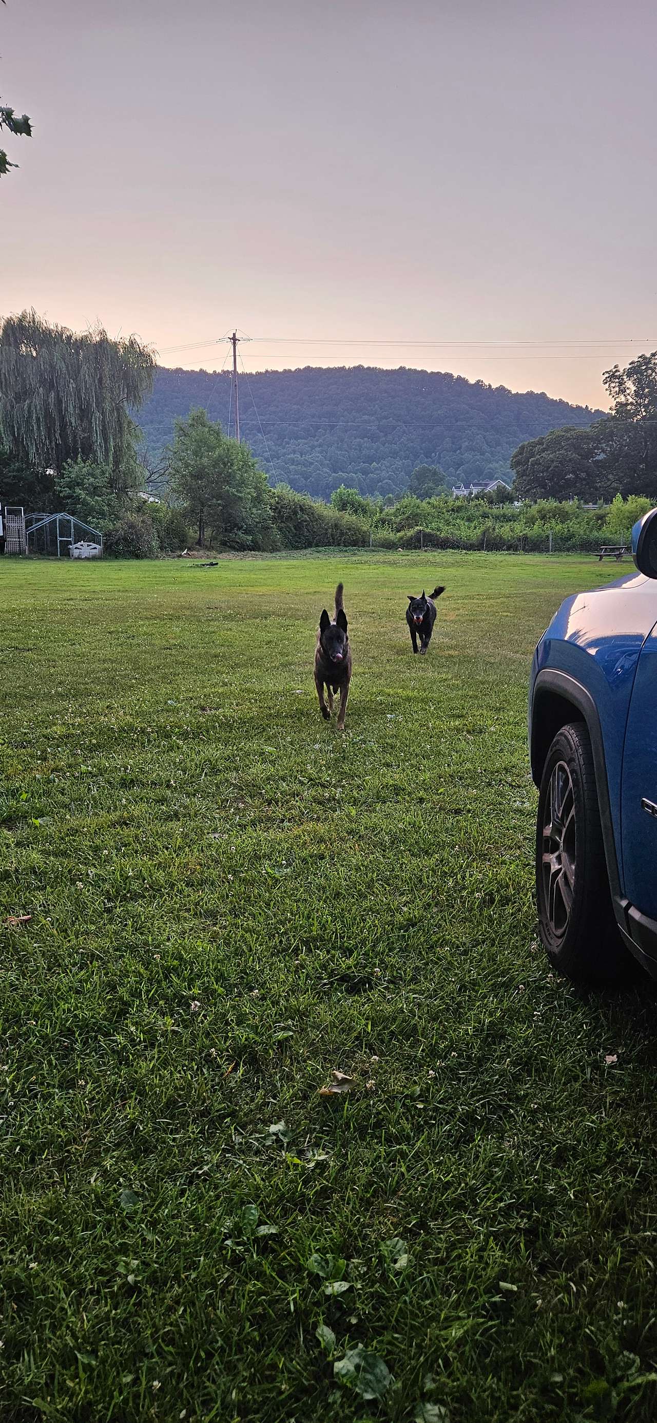 Stoney Creek Oasis Campground