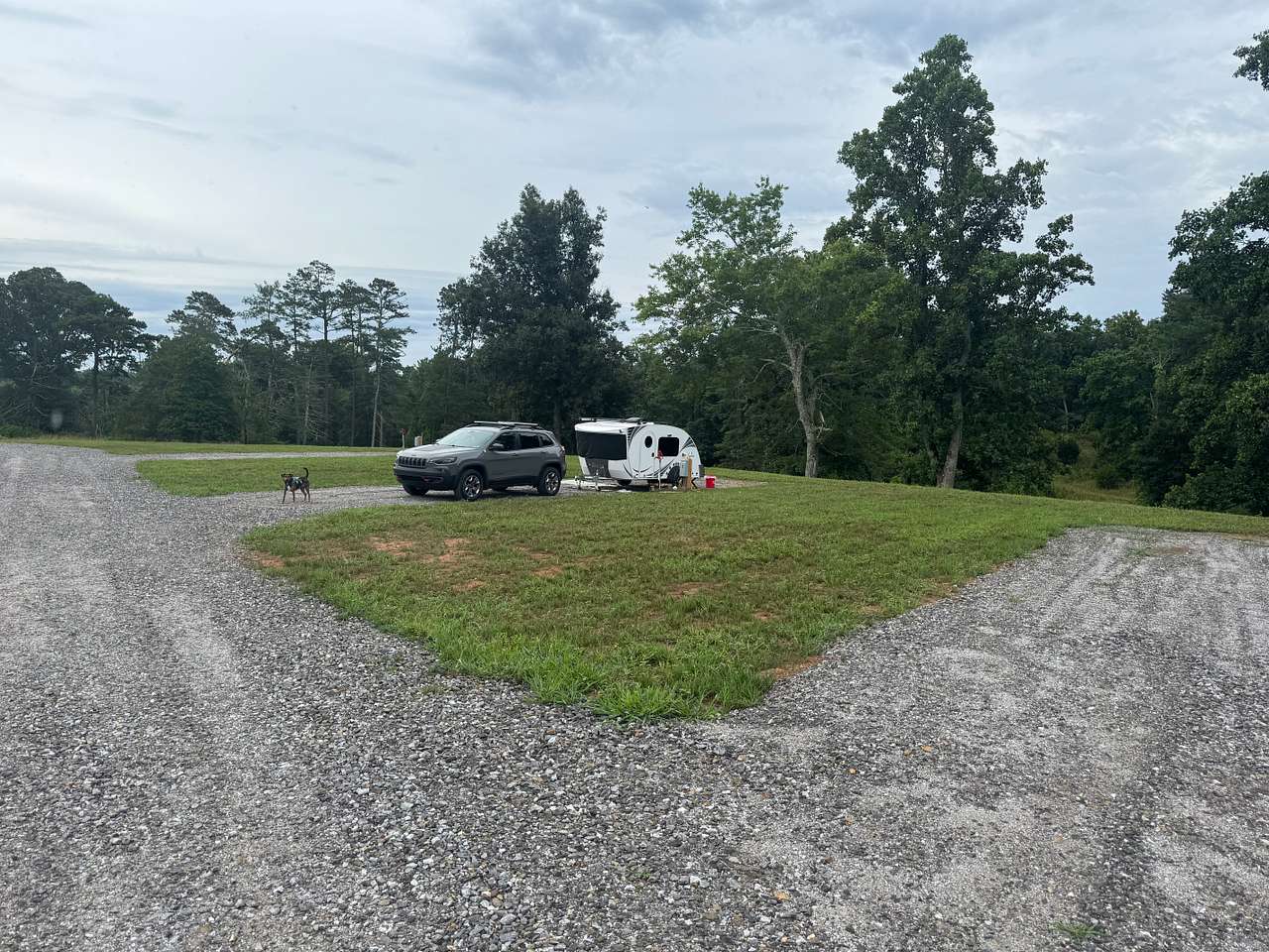 Picture of the site