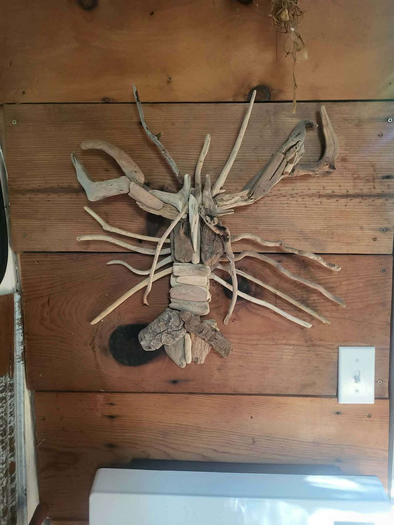 lots of unique decor