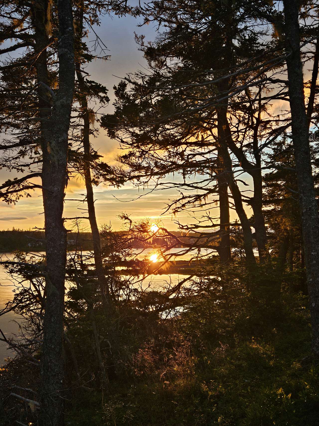 Wild Islands Camping by the Sea