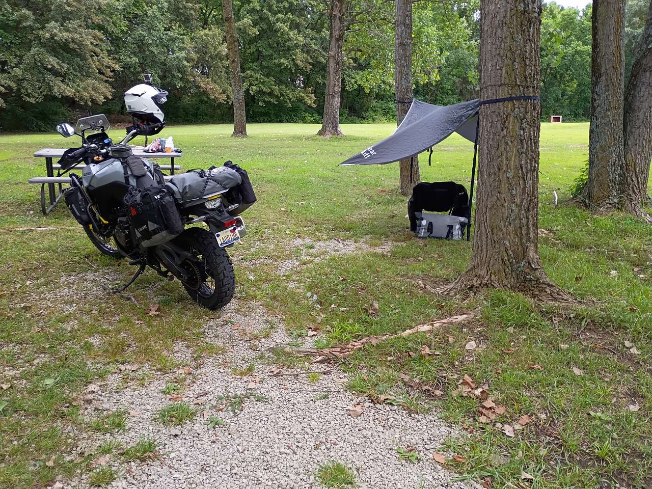 Picture of the site