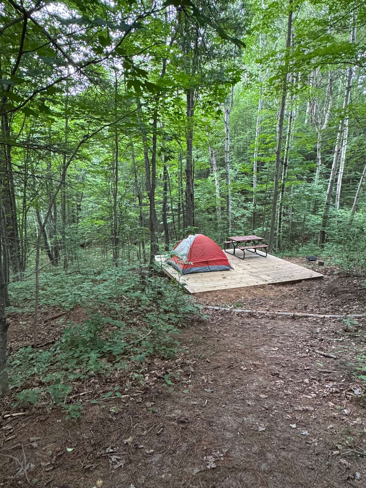 Picture of the site