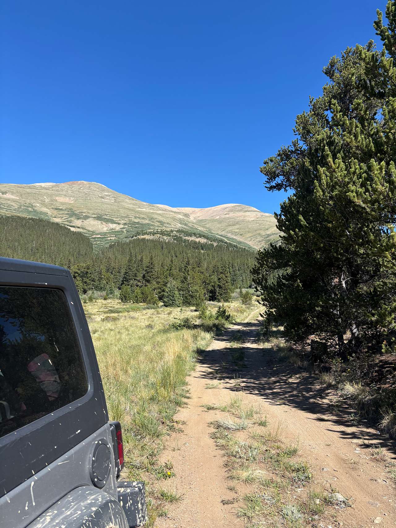 Mountain Meadow Glamp Camp