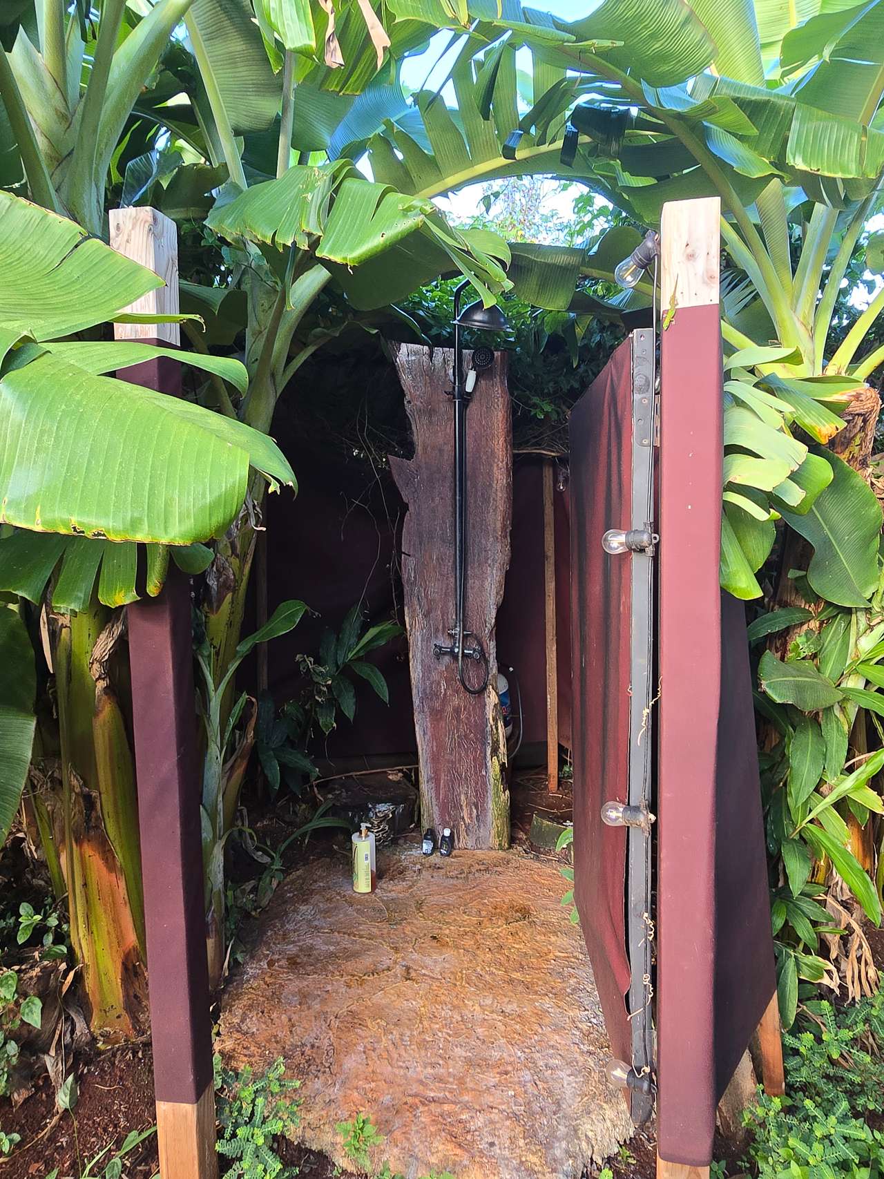 Living Circle Farms Hawaii