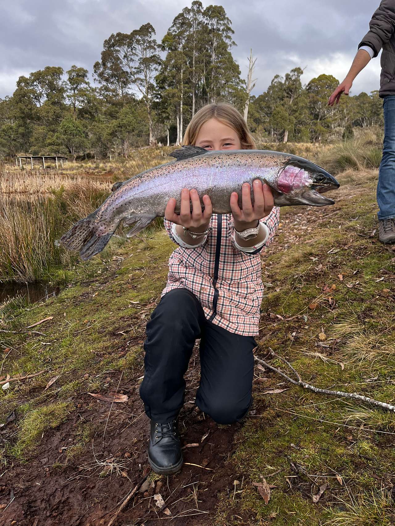 Cradle Mountain Fishery and Camping